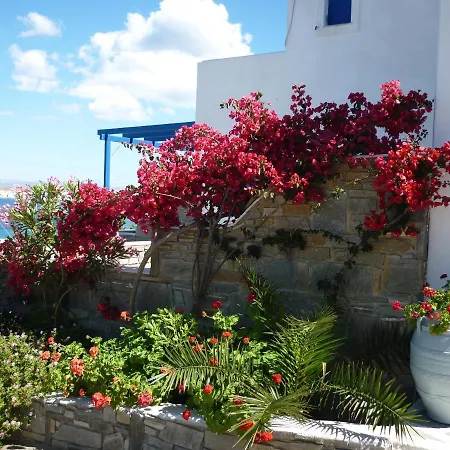 Nikoleta Kolympithres Paros * Kolympithres